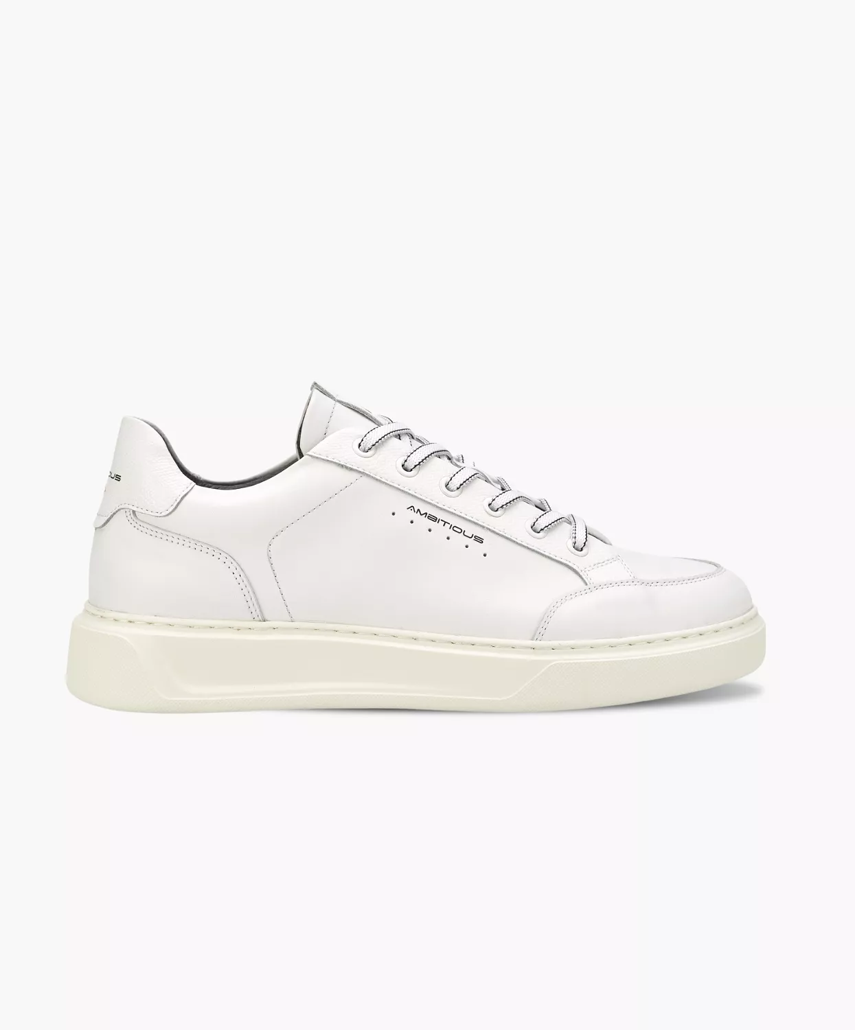 Ambitious Kit Low Top Mens Sneaker White